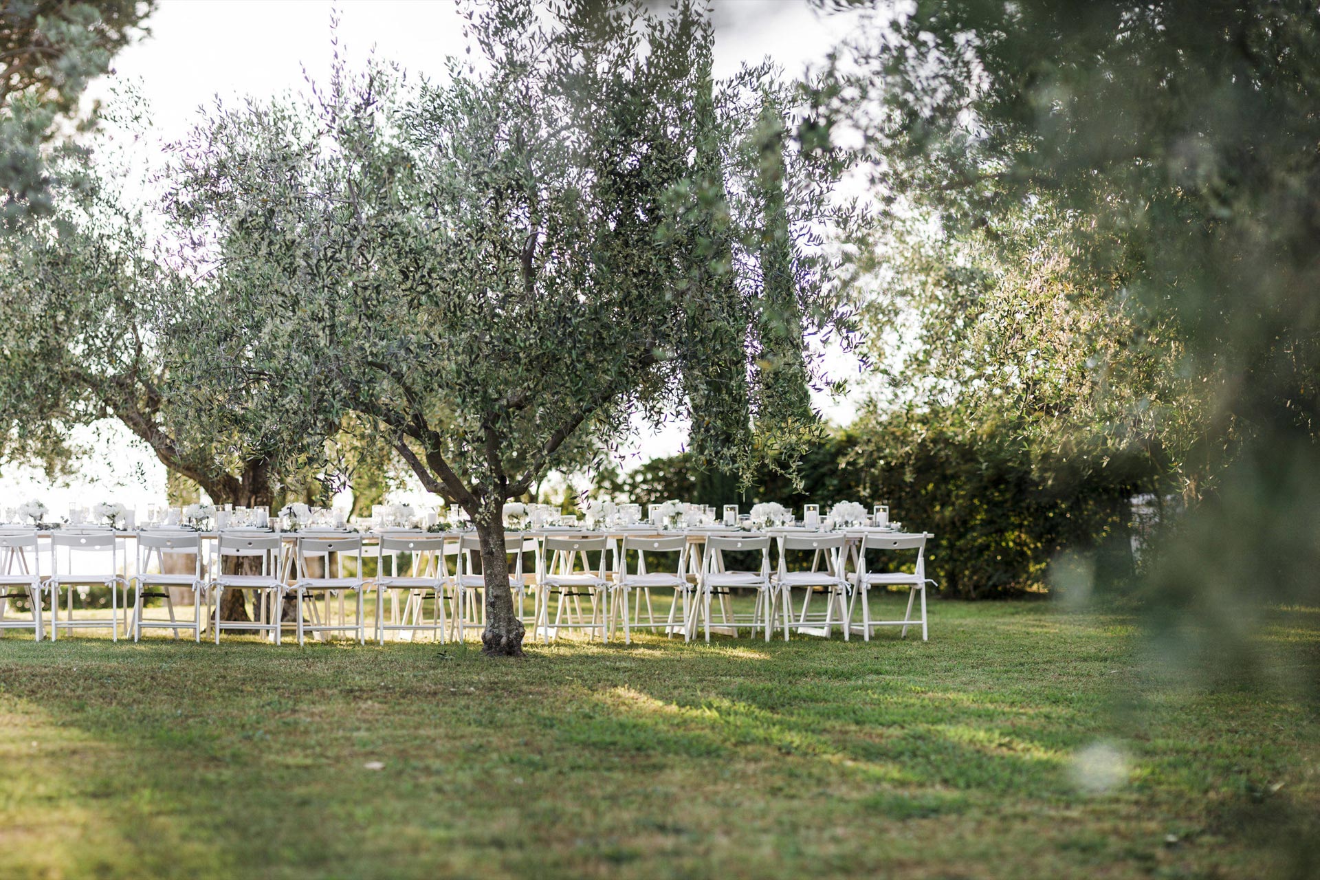 Wedding 3