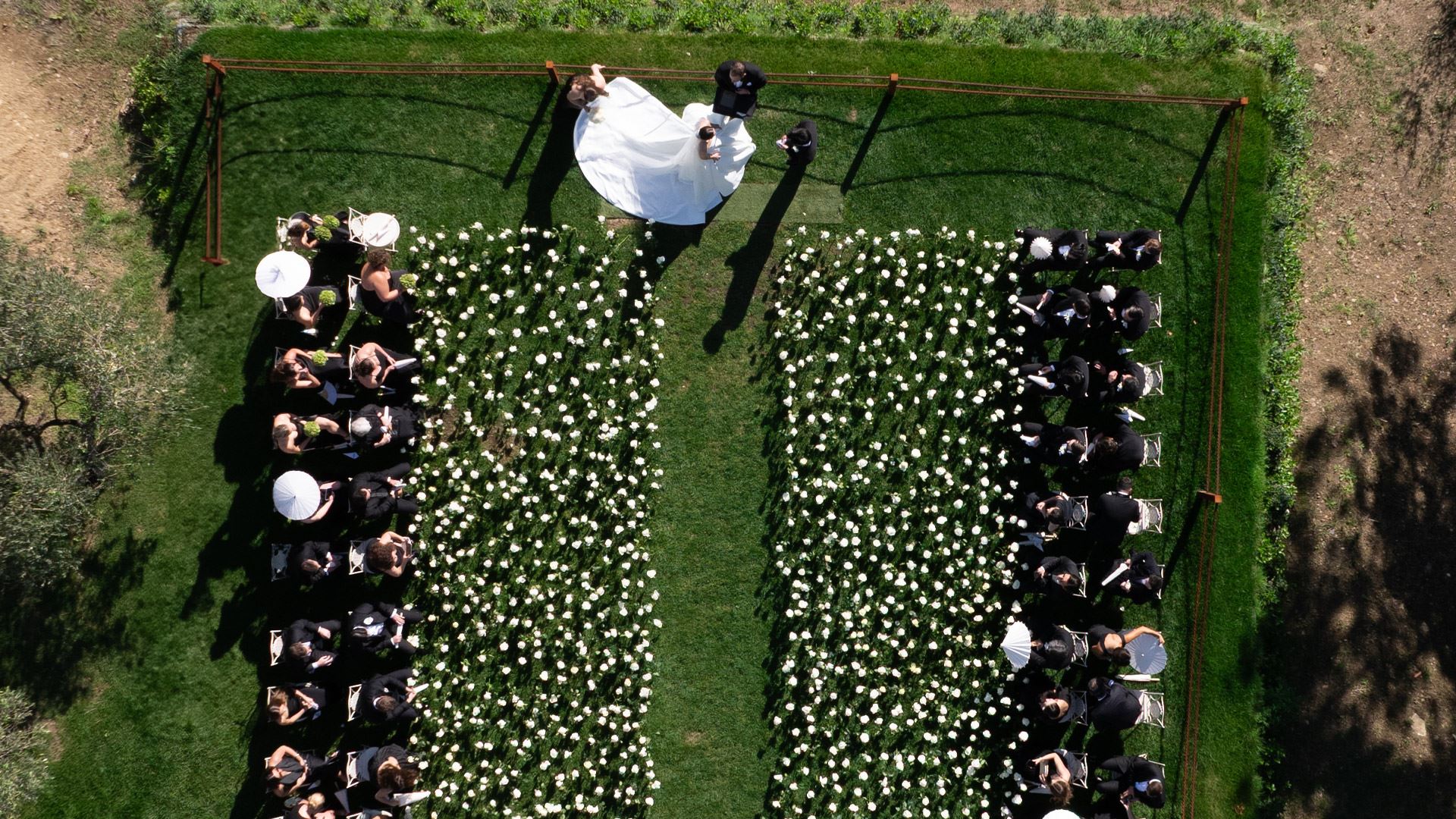 Wedding 6